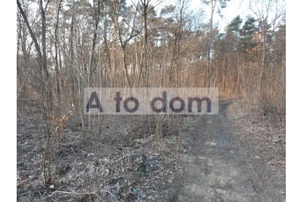 wołomiński, Wołomin, Zagościniec, Działka na sprzedaż